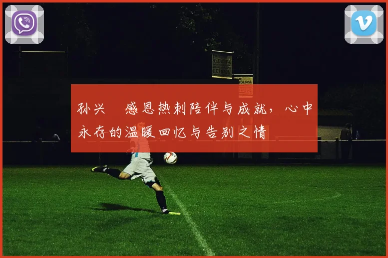 孙兴慜感恩热刺陪伴与成就，心中永存的温暖回忆与告别之情